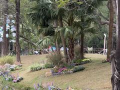 -人民公园(罗湖区)