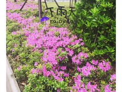 -幸福蓝海国际影城(河西店)