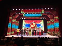 刘老根大舞台(正阳街分部)-大舞台剧场