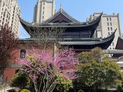 -上海白云观
