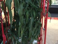 -盒马鲜生(悠方店)