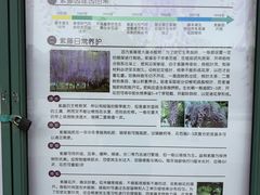 -嘉定紫藤园