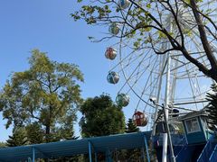 -佛冈森波拉度假区