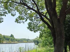 -梁鸿国家湿地公园