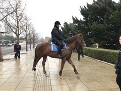 -大连人民广场