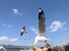 -大理洱海