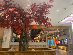 -韩京炭火烤肉自助料理(柯桥万达店)