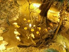 -麒麟中餐厅·经典粤菜·地道菜式老字号(广州长隆酒店)