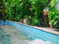 -佳明游泳馆(惠新西街南口店)