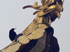 -四川郎木寺镇