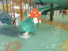 -南宫温泉水世界