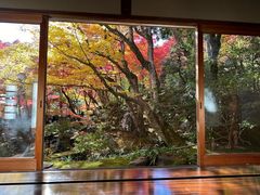 -常寂光寺