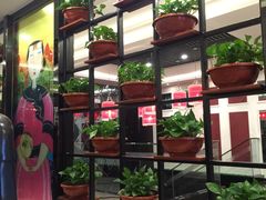 大堂-高第街56号餐厅(邹城新一中店)