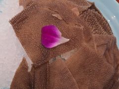 -蜀留香火锅(社会山店)