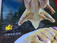 红树林赶海鸭-百姓百味海鲜酒楼(粤垦路总店)