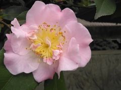 -桂溪生态公园