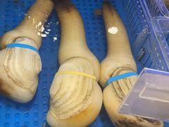 -榕港名轩(天禧店)