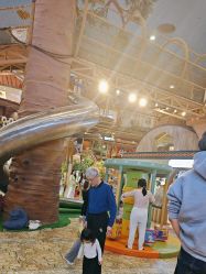 -卡通尼·Safari非洲探索乐园·生日会(金桥国际商业广场店)