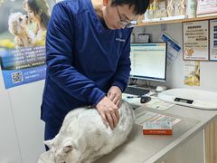 -丹景宠物医院·全科·老年病·牙科(武昌诊疗中心)