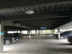 -上海植物园·停车场