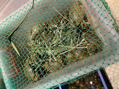 -五稻厨房粤西菜(新闻店)