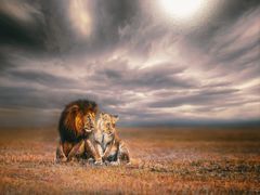 -罗红摄影艺术馆