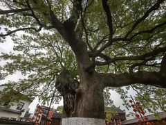 -新安江山水画廊风景区