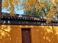 -西园寺素食(西园弄戒幢律寺店)
