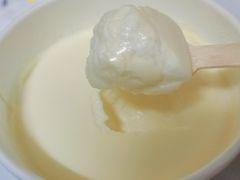 自制酸奶-洪长兴(云南南路店)