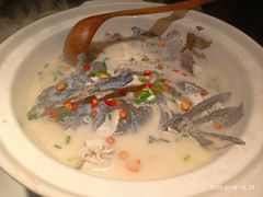 -老傅家湘潭水煮活鱼店(众一国际店)