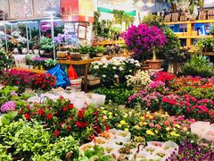 -双季花艺园艺市场(浦东店)