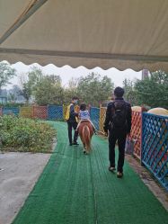 -萌宠亲子动物乐园(槐房万达店)