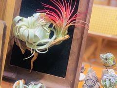 -Rabbit Cafe私房西餐甜点咖啡(栖霞路店)