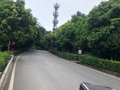 -铁山坪森林公园