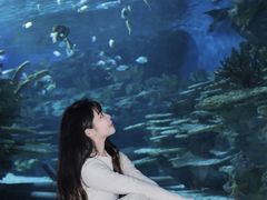 -海合安武汉极地海洋公园
