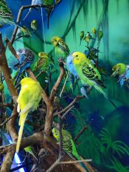 -未来动物城动物主题公园(大悦城店)