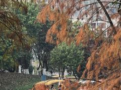 -番禺大夫山森林公园
