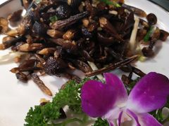 -雲蜀龙阁·金牌水煮鱼(方庄店)