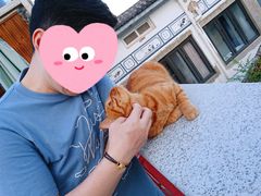 -喵屿·大理花园猫咖