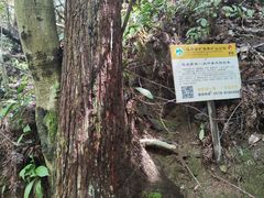 -遂昌金矿国家矿山公园