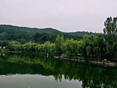 -黄帝陵