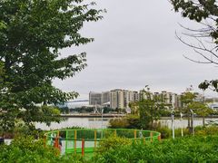 -飞凤山奥体公园