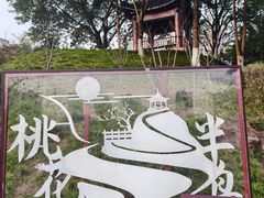 -重庆彩云湖湿地公园