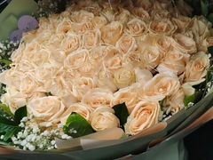 -大自然花鸟鱼虫市场