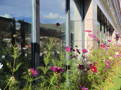 -玫瑰西餐厅.意面披萨.牛排咖啡