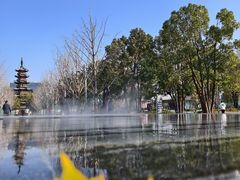 -龙华素斋(龙华路店)