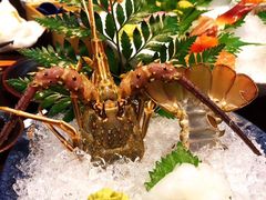 -初花·日本料理