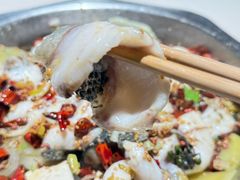 炝锅鱼黑鱼-万和源炝锅城·活鱼现炝(文艺北路店)