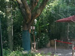 -金海湾自助餐厅(金陵饭店)