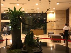 -九华山聚龙大酒店